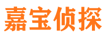 城中侦探公司